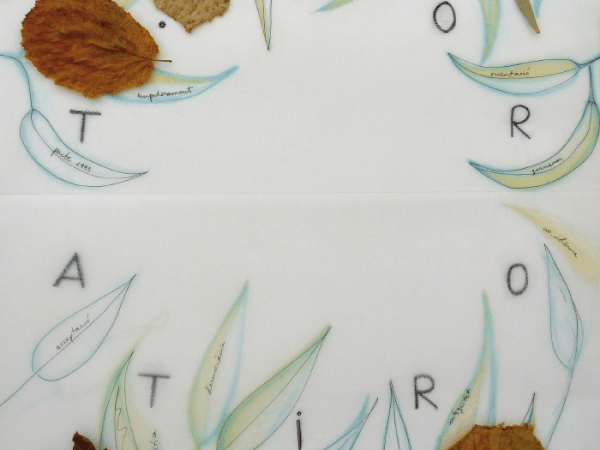 Sororitat. Nova cultura feminista